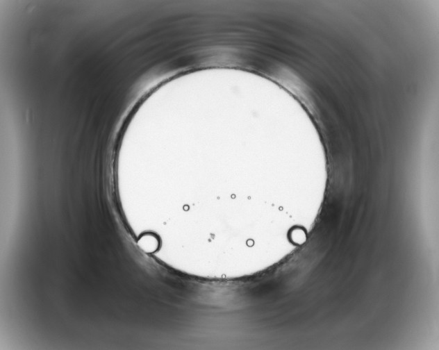 X0000086751000200704271706