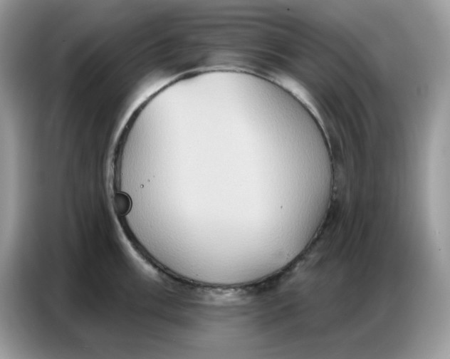 X0000086751003200704271706