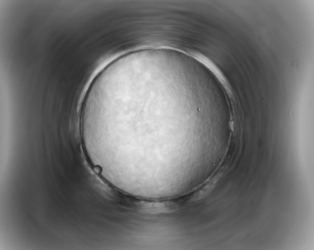 X0000086751004200704271706