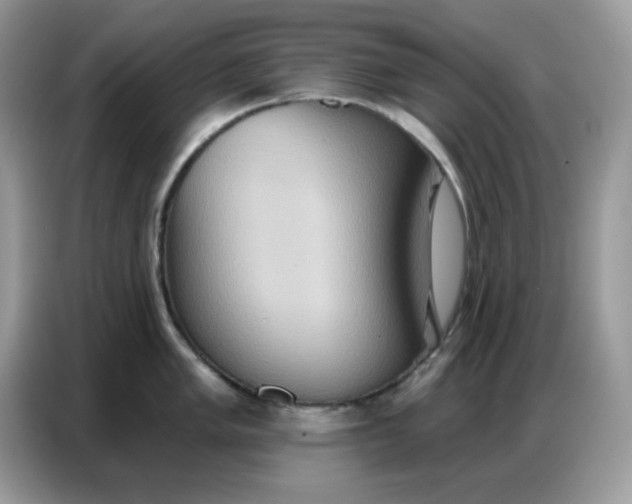 X0000086751005200704271706