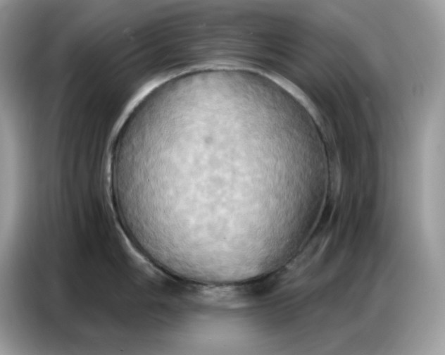 X0000086751006200704271706