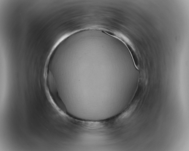 X0000086751007200704271706