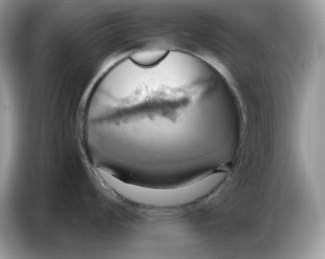 X0000086751008200704271706