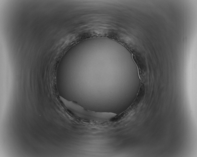 X0000086751009200704271706