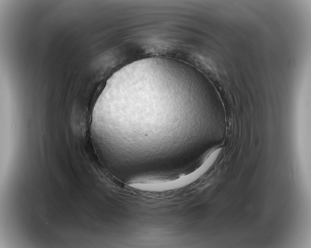 X0000086751012200704271706