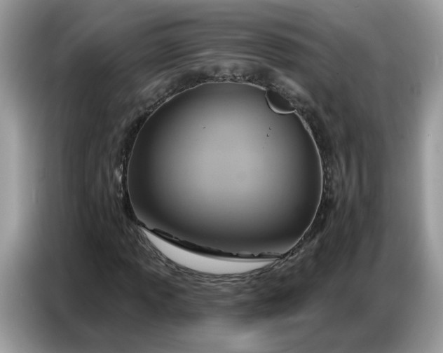 X0000086751013200704271706