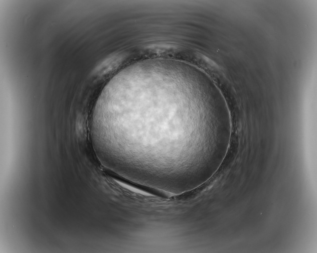 X0000086751014200704271706