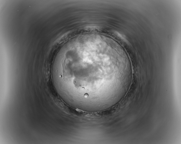 X0000086751015200704271706