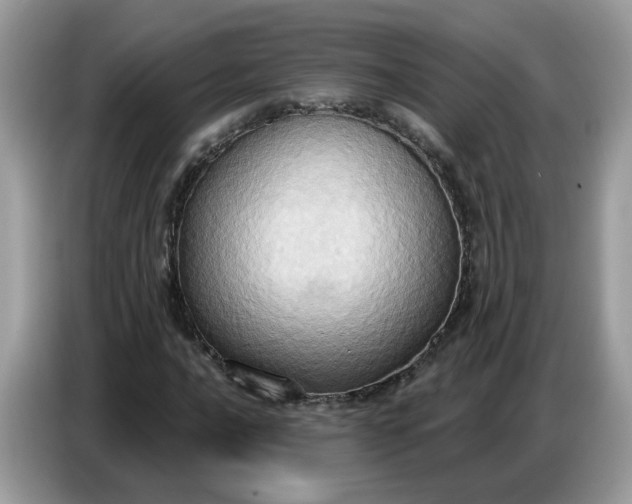 X0000086751016200704271706