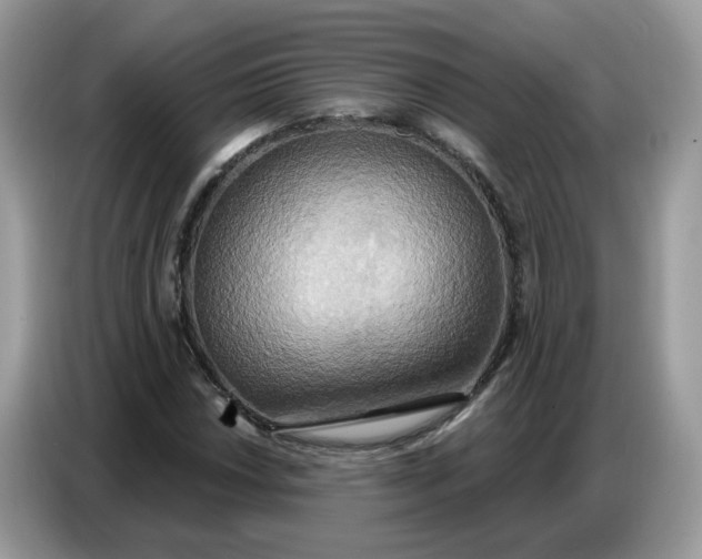 X0000086751018200704271706