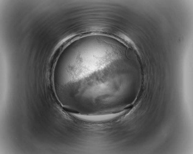 X0000086751019200704271706