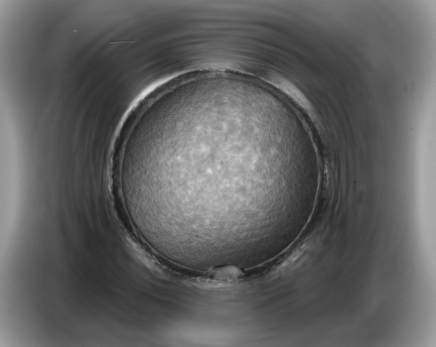 X0000086751020200704271706