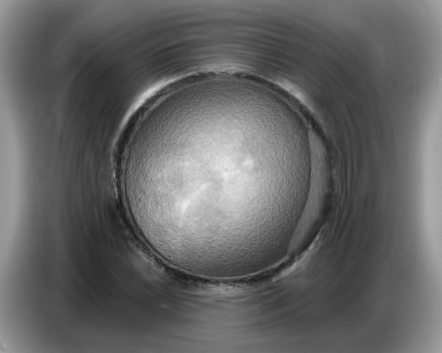 X0000086751022200704271706