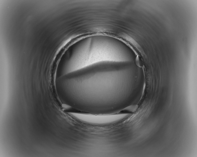 X0000086751023200704271706