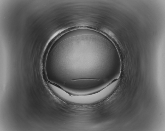 X0000086751024200704271706