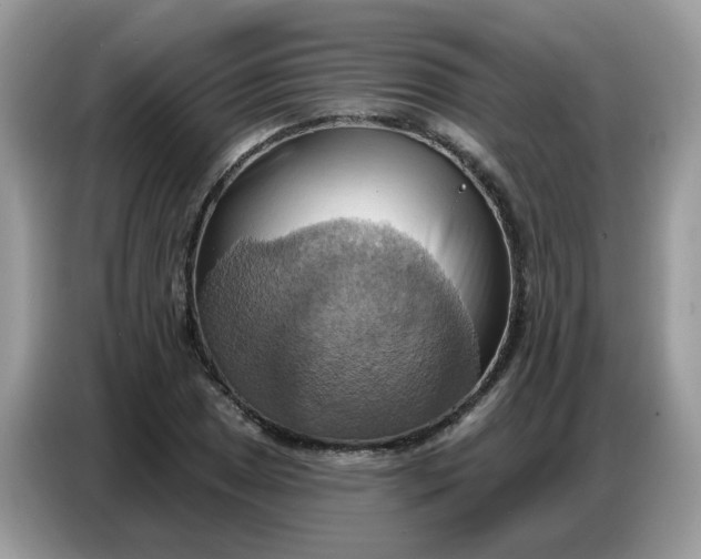 X0000086751025200704271706