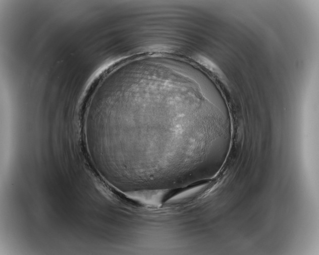 X0000086751027200704271706