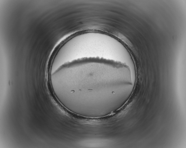 X0000086751028200704271706