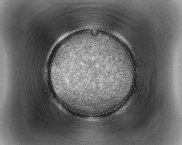 X0000086751029200704271706