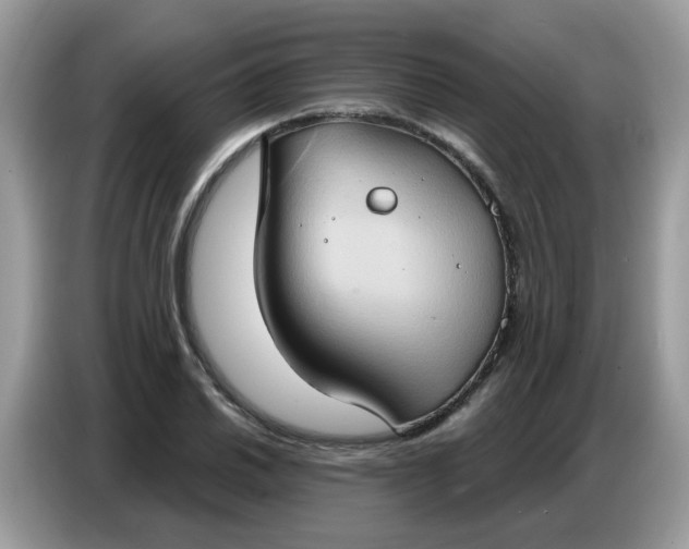 X0000086751030200704271706