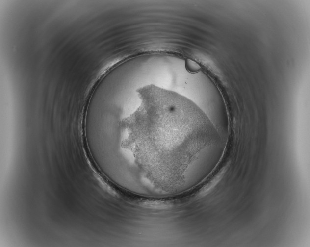 X0000086751033200704271706