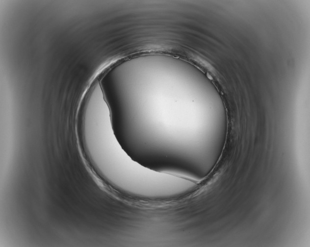 X0000086751034200704271706