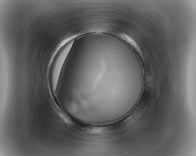 X0000086751035200704271706