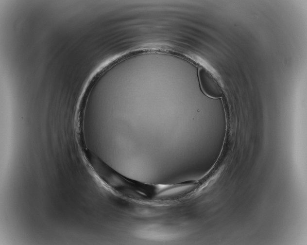 X0000086751037200704271706