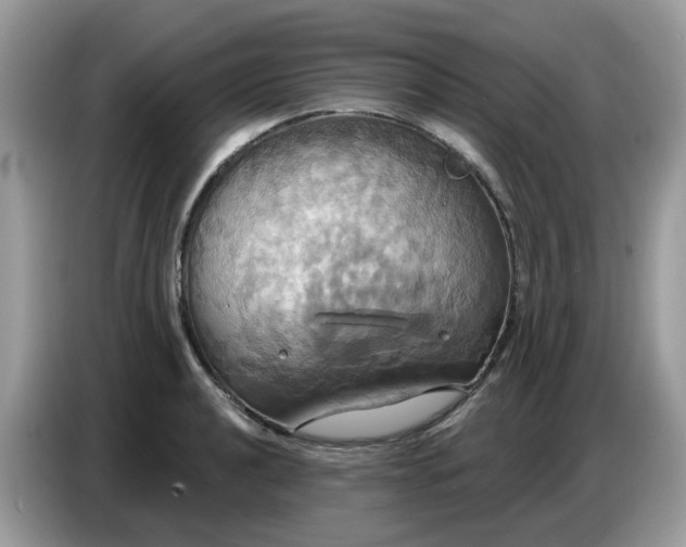 X0000086751040200704271706