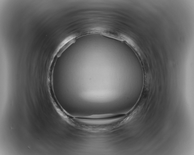 X0000086751042200704271706