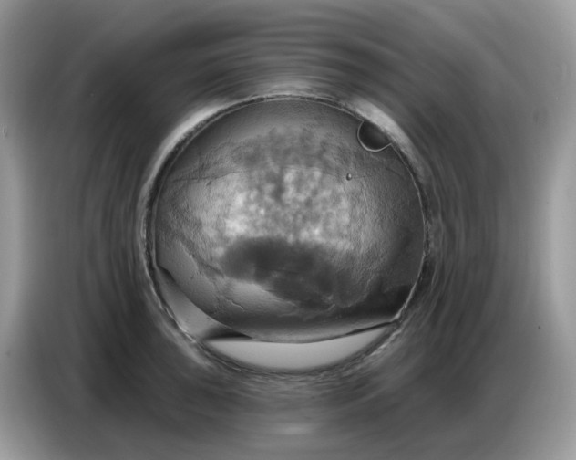 X0000086751043200704271706