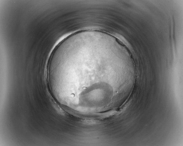 X0000086751044200704271706