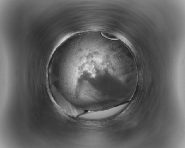 X0000086751047200704271706