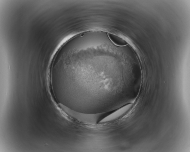 X0000086751048200704271706