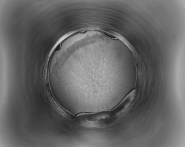 X0000086751052200704271706