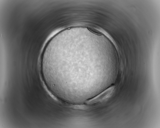 X0000086751053200704271706