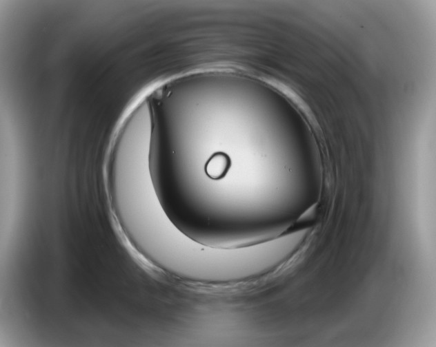 X0000086751054200704271706