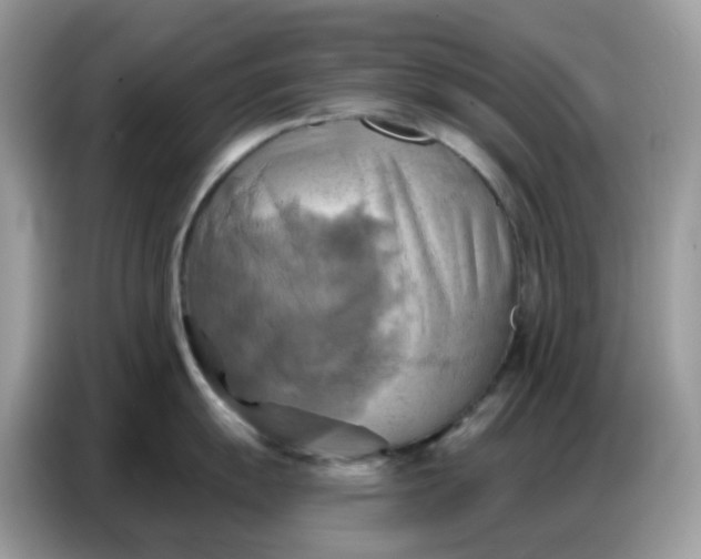 X0000086751055200704271706