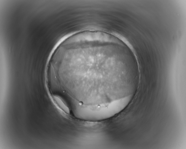 X0000086751056200704271706