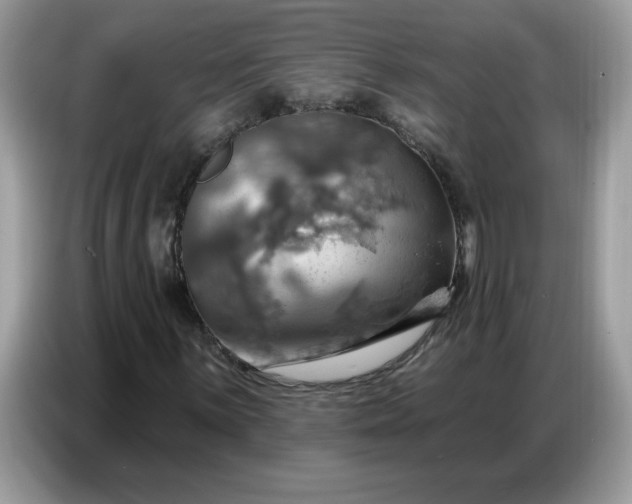 X0000086751059200704271706