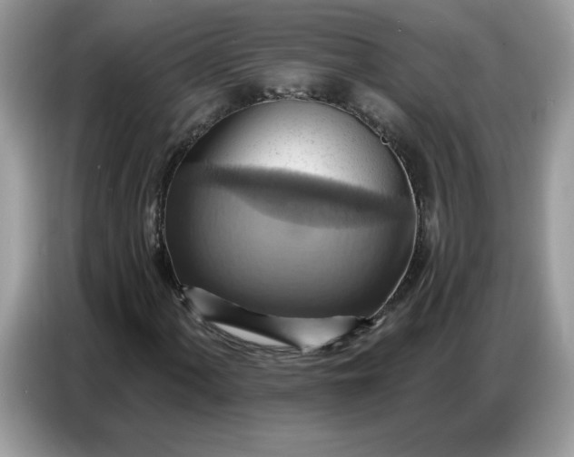 X0000086751060200704271706