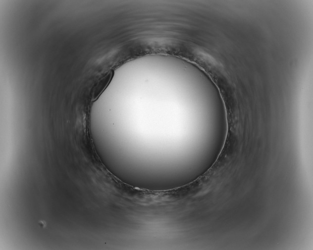 X0000086751061200704271706