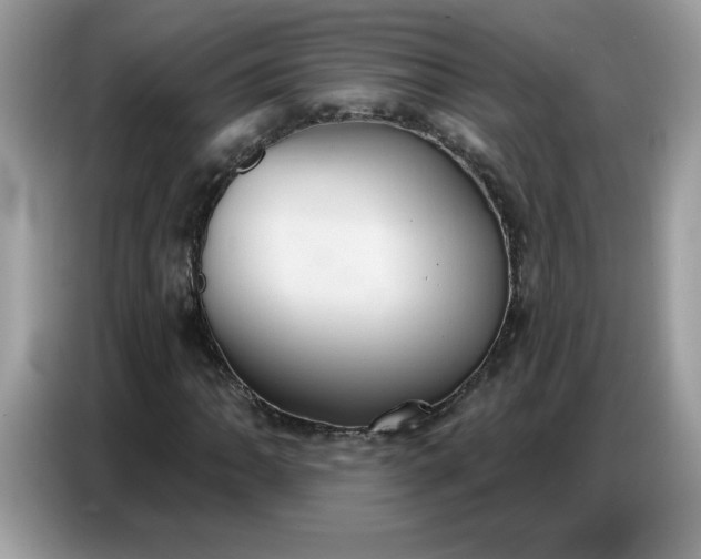 X0000086751062200704271706