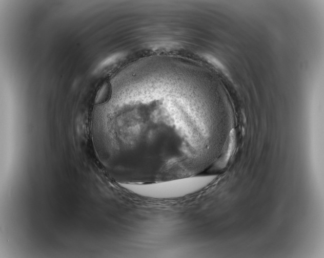 X0000086751063200704271706