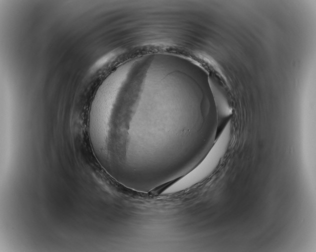 X0000086751064200704271706