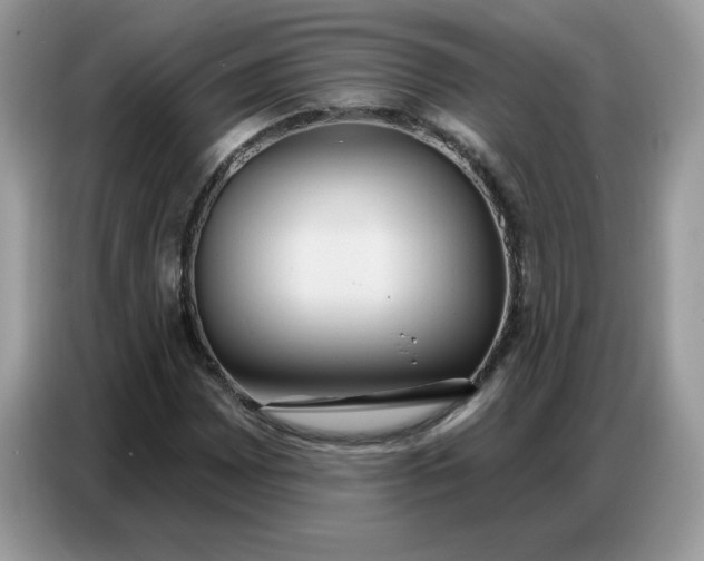 X0000086751065200704271706