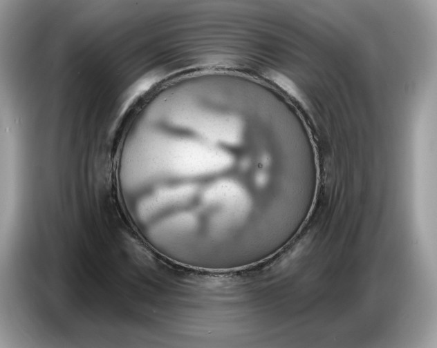 X0000086751067200704271706