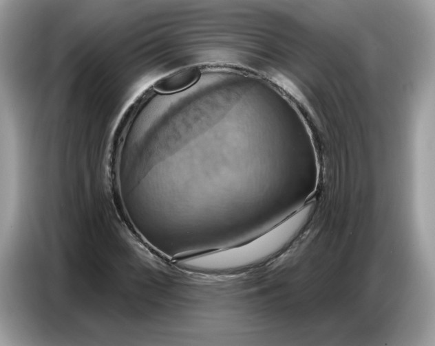 X0000086751068200704271706