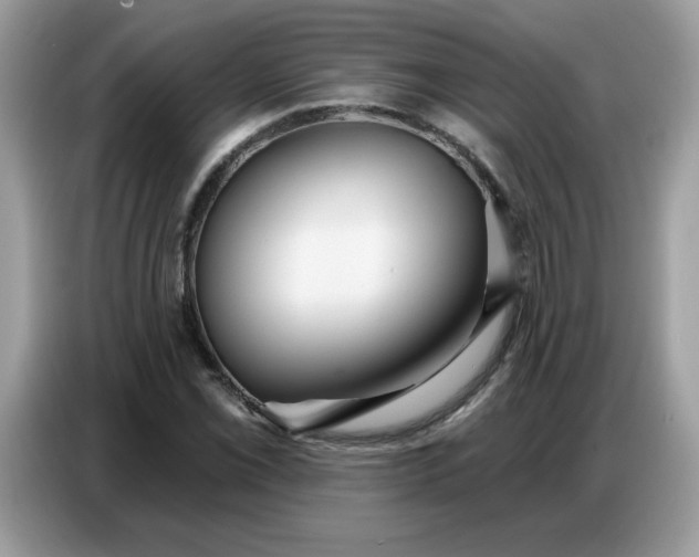 X0000086751069200704271706