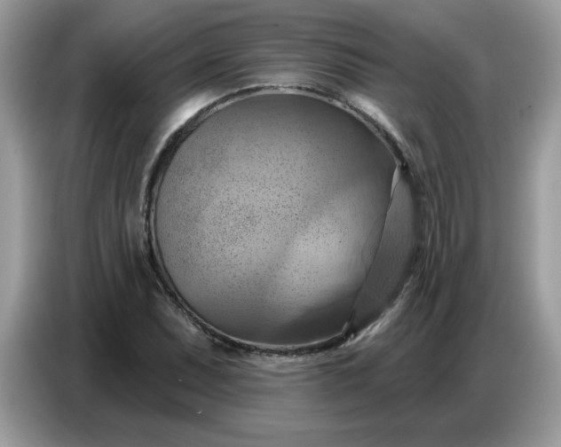 X0000086751071200704271706